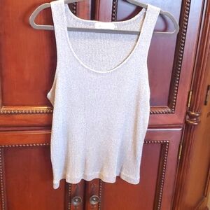 Metallic silver tank top.